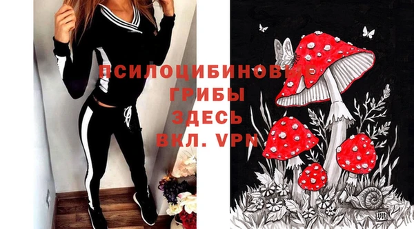 таблы Кодинск