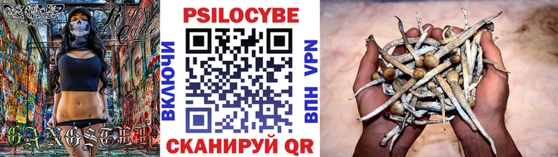 Галлюциногенные грибы GOLDEN TEACHER  Купить  Жирновск 